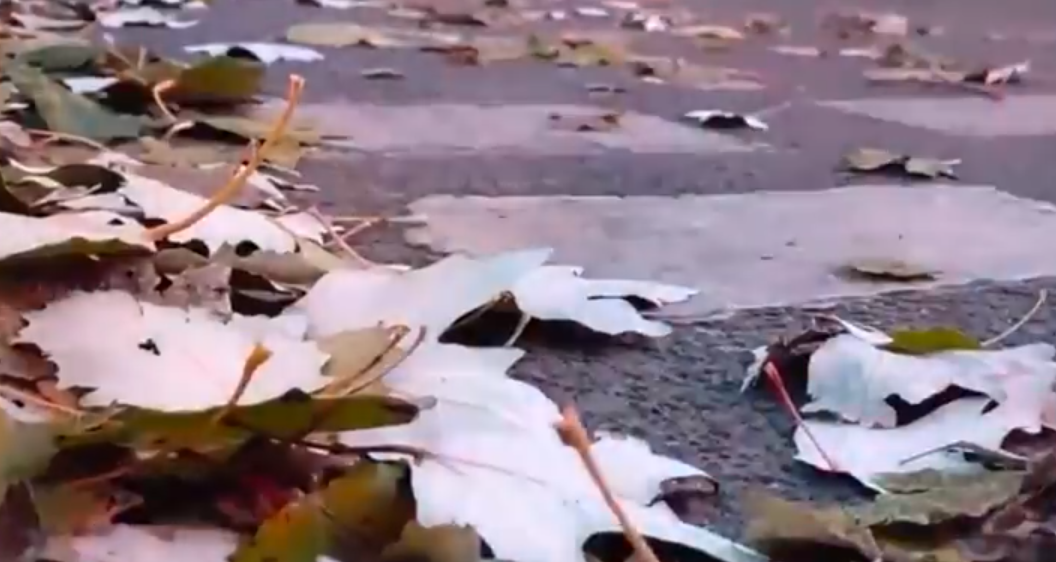 又一輪寒潮來了 注意保暖！