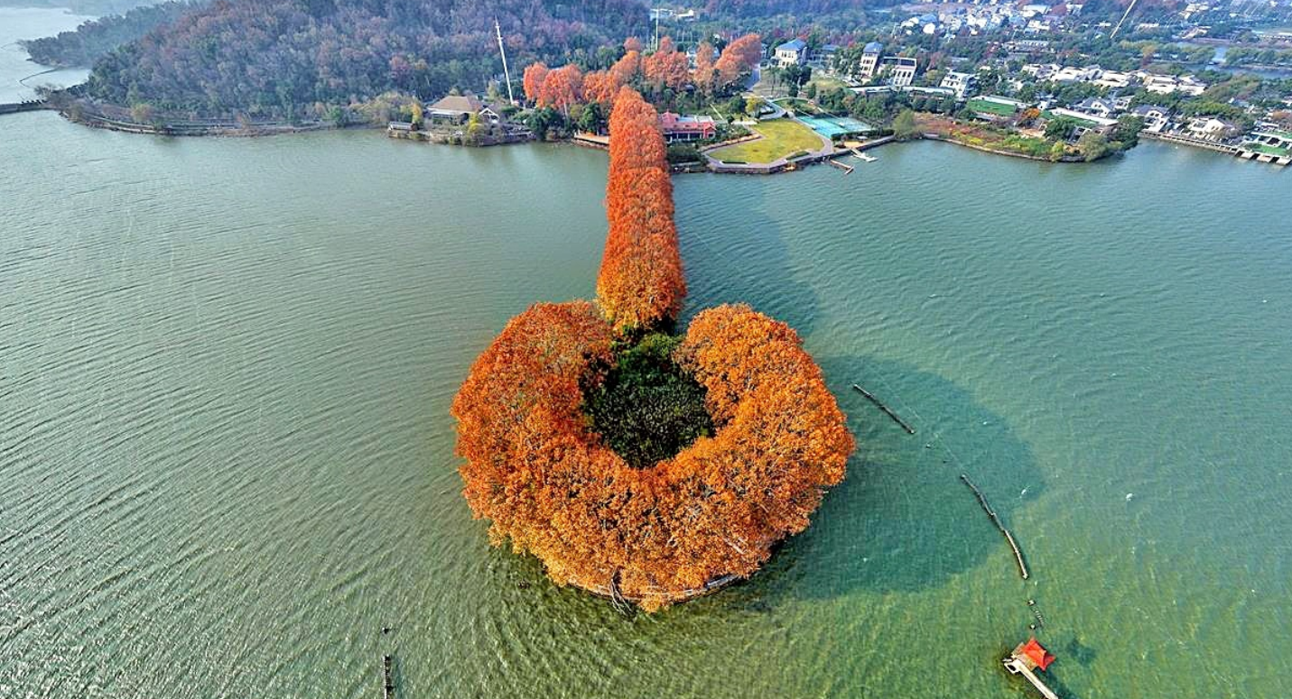 “金汤勺” 舀动东湖碧波