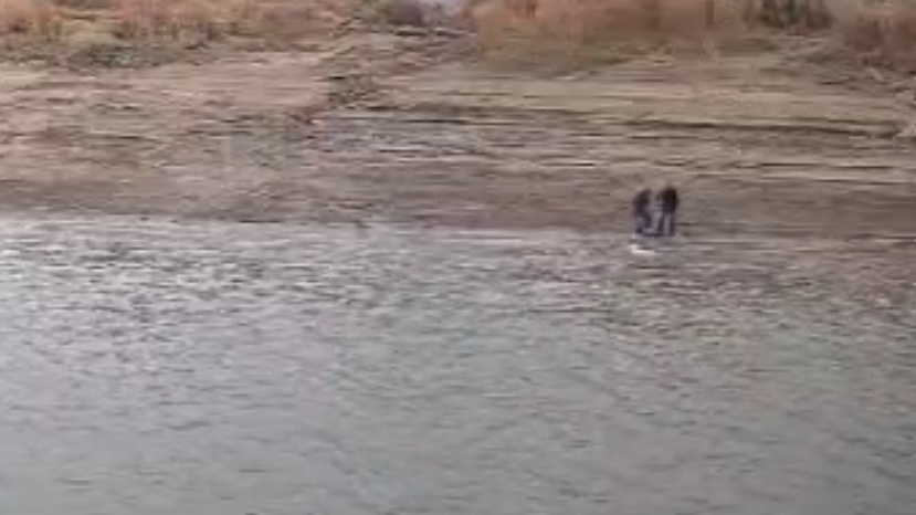 武漢江邊，三位清漂環(huán)衛(wèi)工寒潮中勇救落水女子