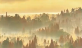 晨光里的都江堰美成山水畫