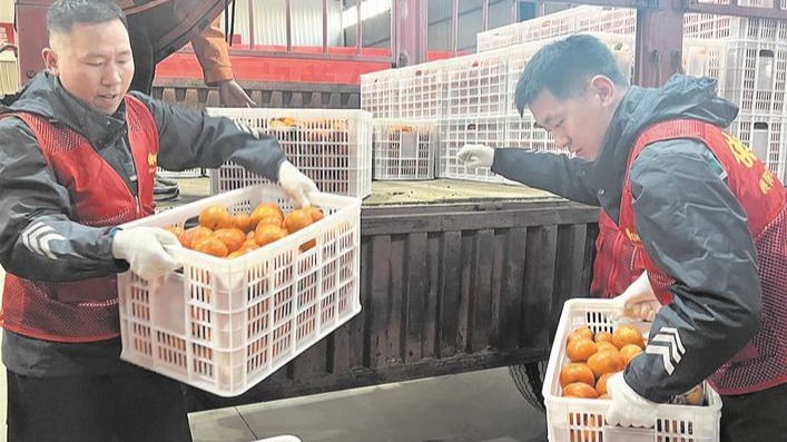 热心人伸援手 万斤苹果柿售罄