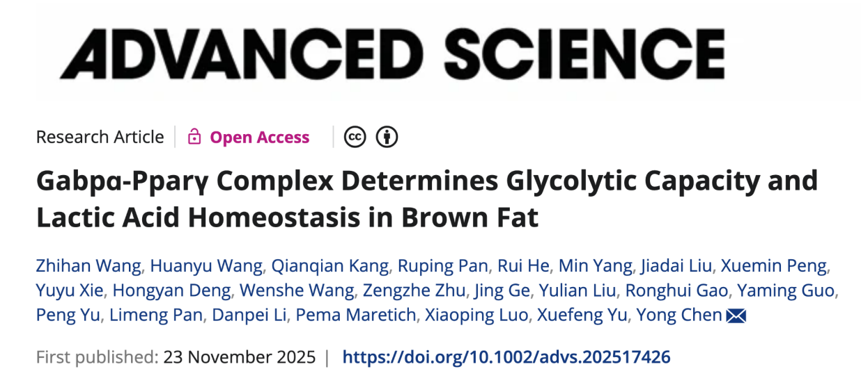 同济医院发现肥胖治疗新靶点