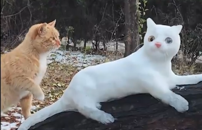 大爷堆出雪猫和雪鼠栩栩如生