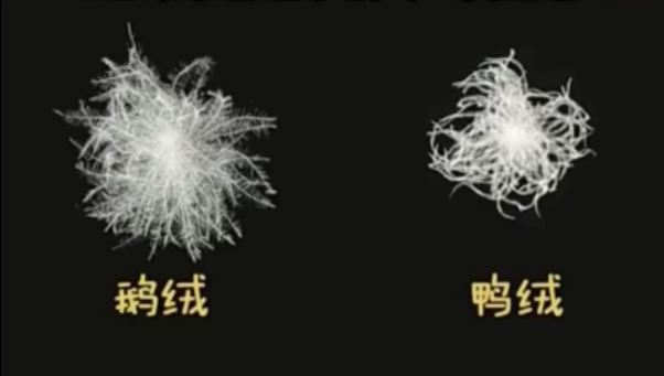 羽絨服不是越重越暖和