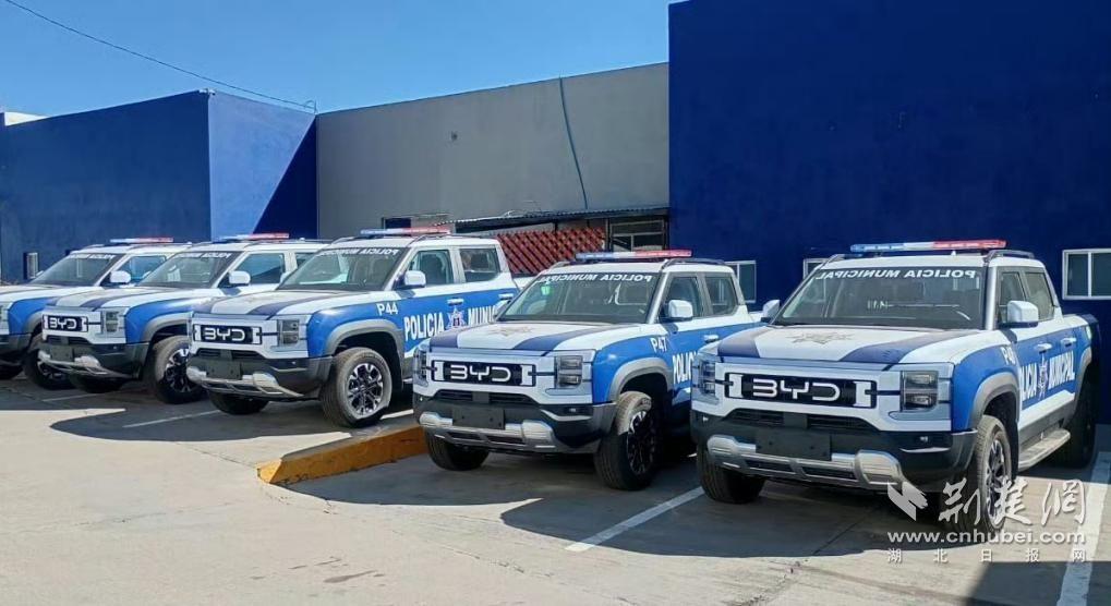 比亚迪喜提“国际编制”，海外公务车市场刮起中国风