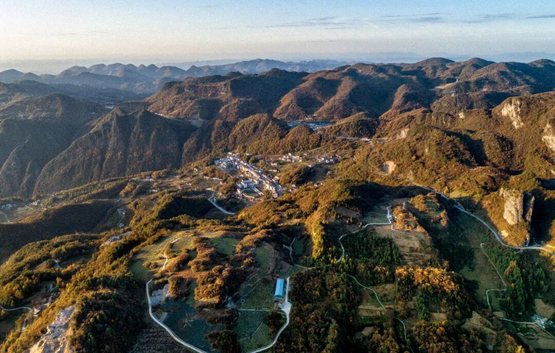 赤箭花开满山红