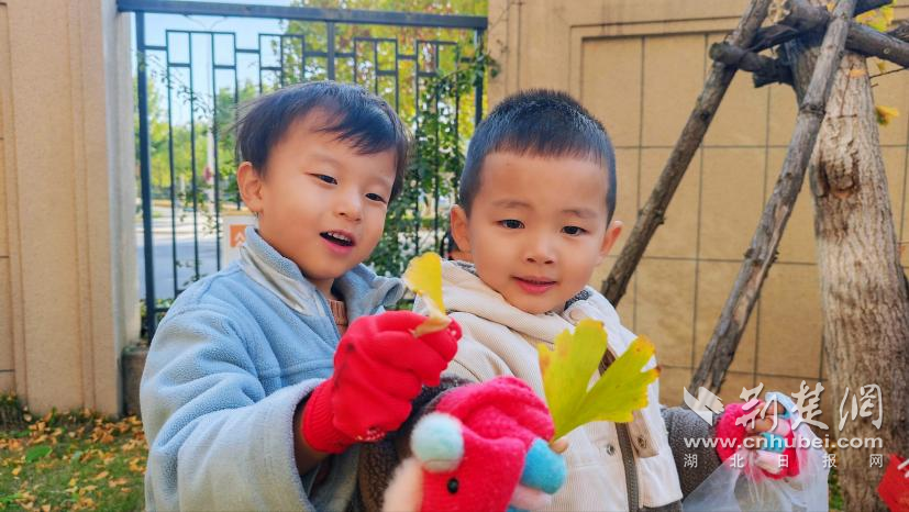 “杏”趣实验室！萌娃解锁银杏的N种玩法