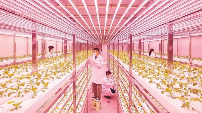 智耕沃野 新時代魚米之鄉(xiāng)邁向農(nóng)業(yè)強省