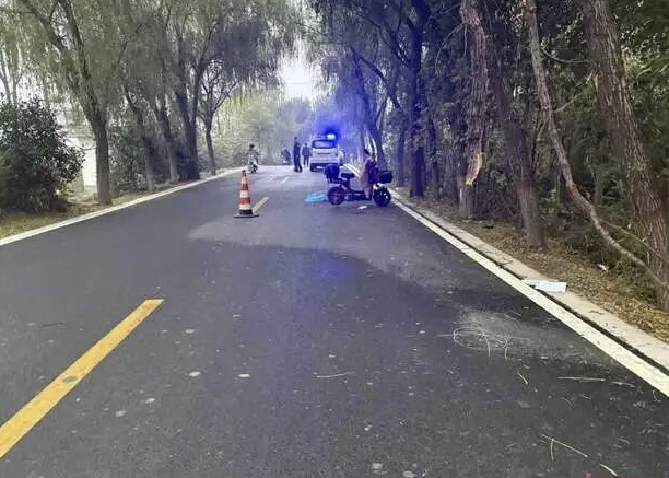 女教师上班途中“撞树枝”身亡，二审查明交警认定超速不当