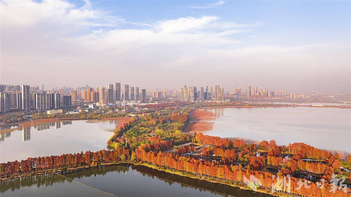 东湖绿道层林尽染