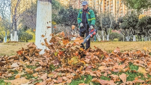 “落叶不扫”近尾声