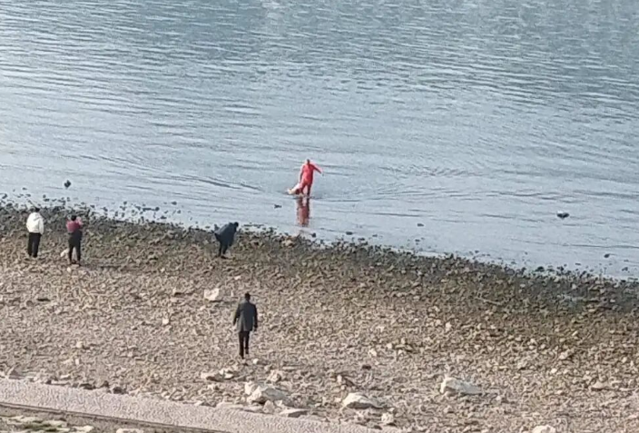 宜昌江邊突發(fā)！緊急3分鐘，被拍到了