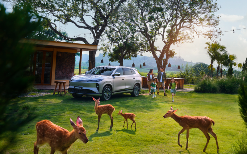 以“普惠豪华”破局，东风风神从四大纬度阐释“家的温暖”