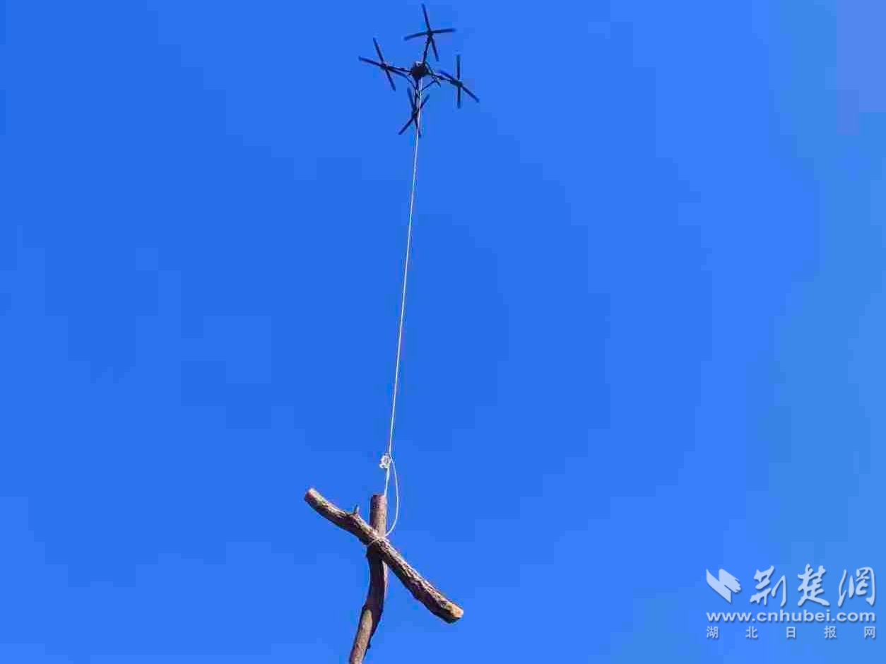 dcc7df7c2ba8d3c6b956a3008abdc6d6_1254X940_20251211113828