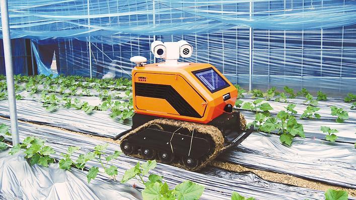 南漳田垄间智能机器人上新