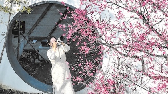 暗香浮动！东湖梅园早梅盛放