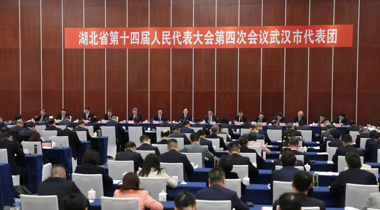 王忠林参加省十四届人大四次会议武汉代表团审议