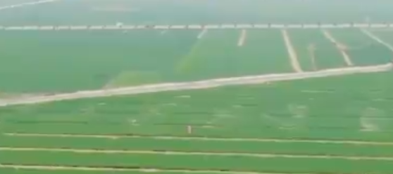 點(diǎn)贊！被高科技版種花家震撼了