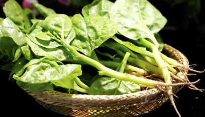 这种蔬菜钙含量超牛奶 冬天推荐你常吃