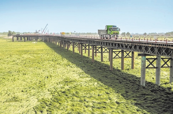 他们在国家级湿地“静悄悄地”修高速