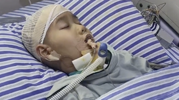 全班同学录视频呼唤8岁昏迷男孩