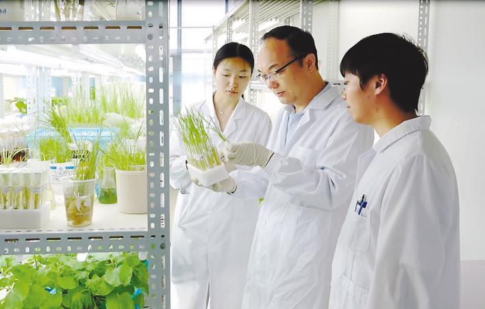 回眸2025湖北十大科技事件