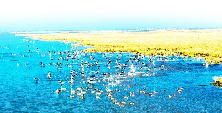 洪湖水質達到“十四五”國家考核標準