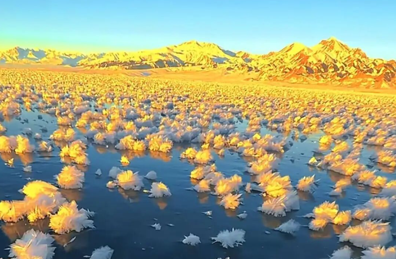 新疆賽里木湖限定版“冰花”開了