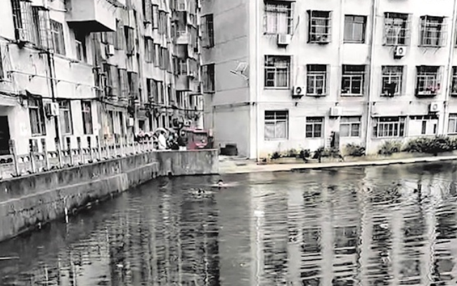 90秒生死竞速！鄂州党员冷水中救起4岁男童