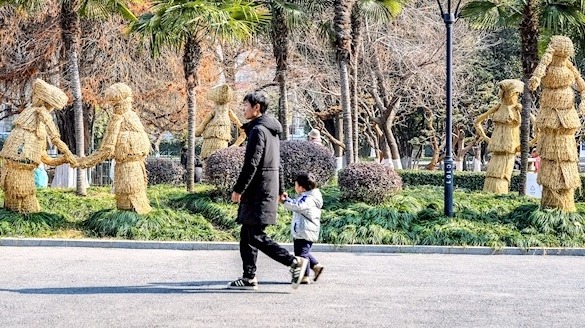 植物穿冬装变身“稻草人”