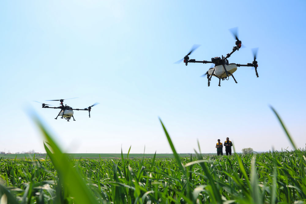 “魚米之鄉(xiāng)”萬象新