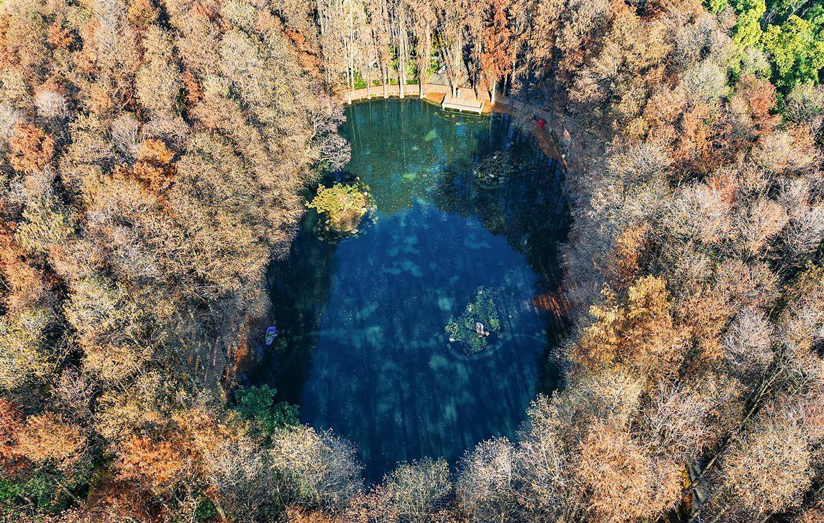 東湖“小圍脖” 冬景如畫