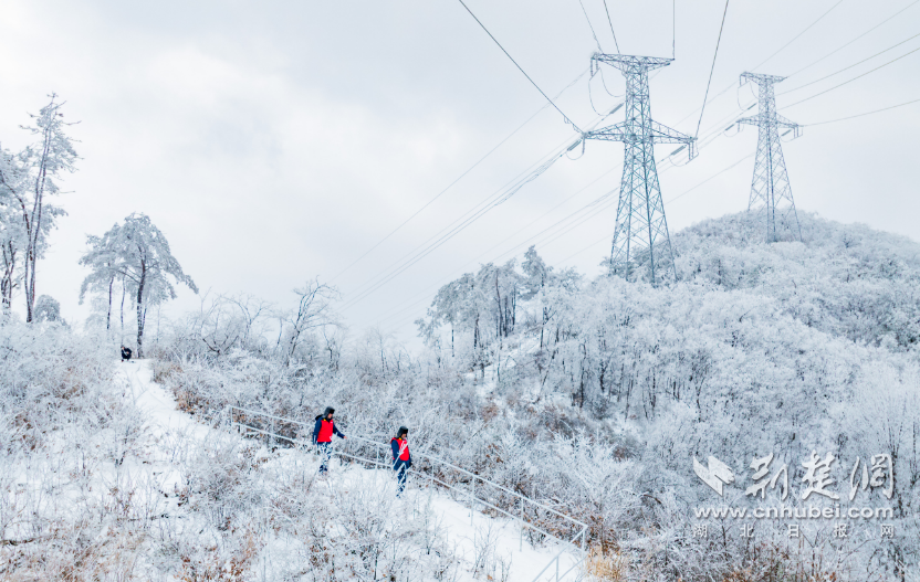 ​武汉之巅踏雪巡线！无人机除冰确保武汉电网安全运行