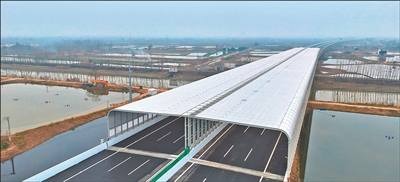 一座长江大桥 绿色故事动人