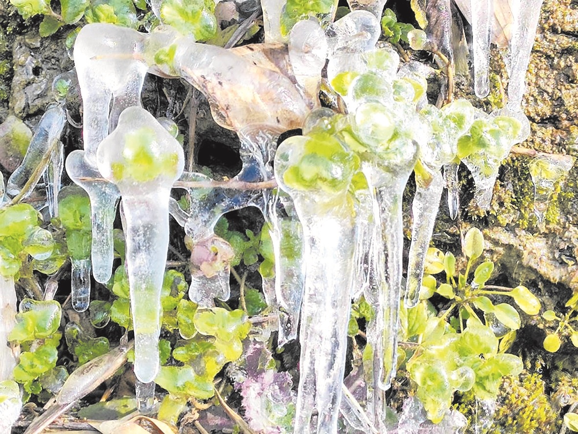 崖壁冰凌藏翠色