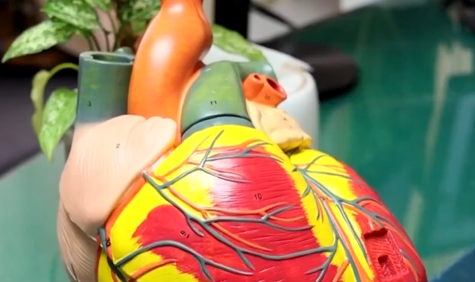 什么是假日心脏综合征？