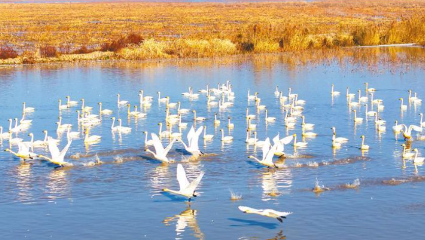 长江荆江段及洪湖流域“山水工程”竣工