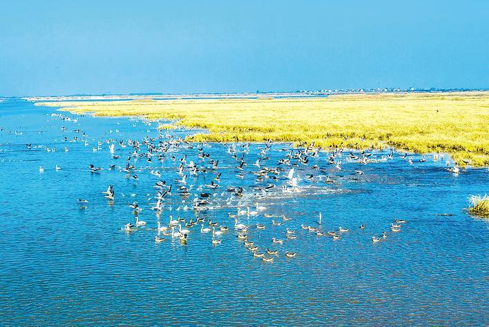 湖北濕地數(shù)量全國第一