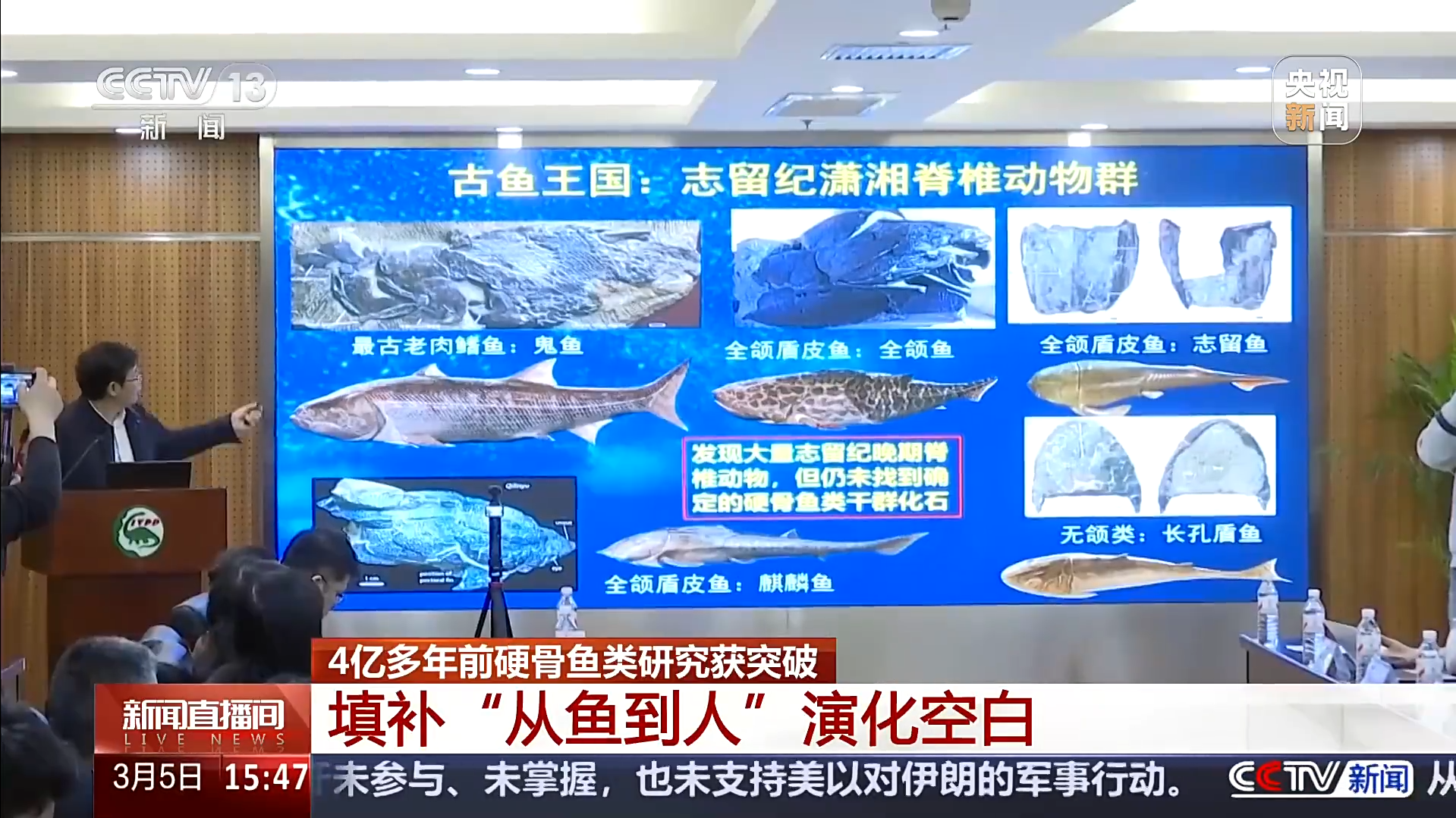 从鱼到人研究有重要突破