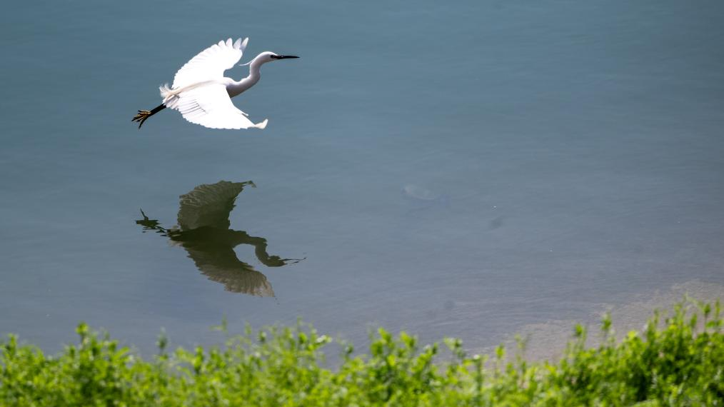 湖北宜昌：一江碧水美如畫