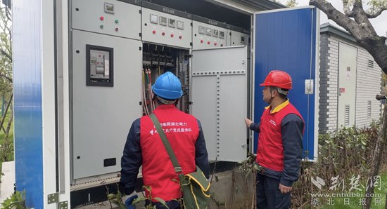 鄂州“可靠供电”保障灵玲野生动物王国开园