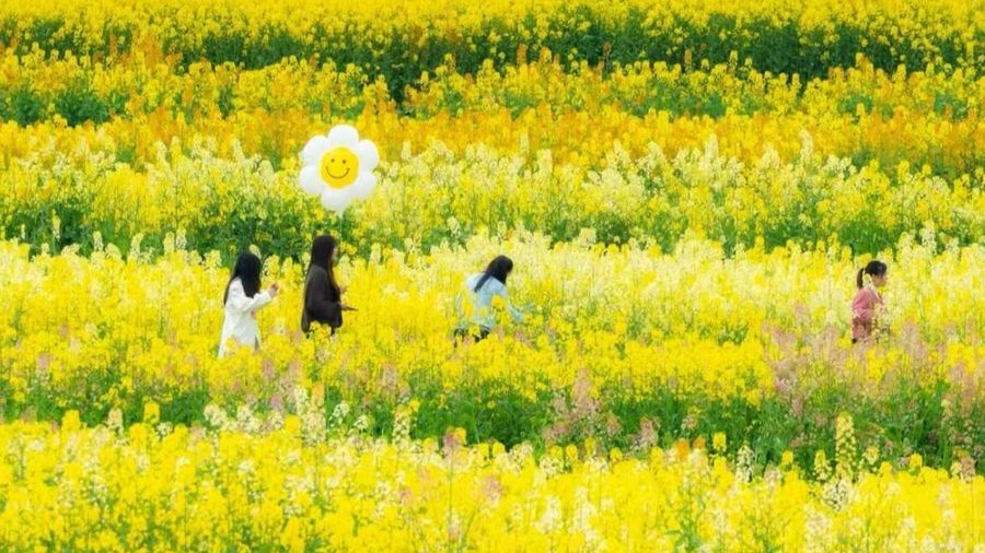 沃野千里逐春光——荆楚大地春管见闻