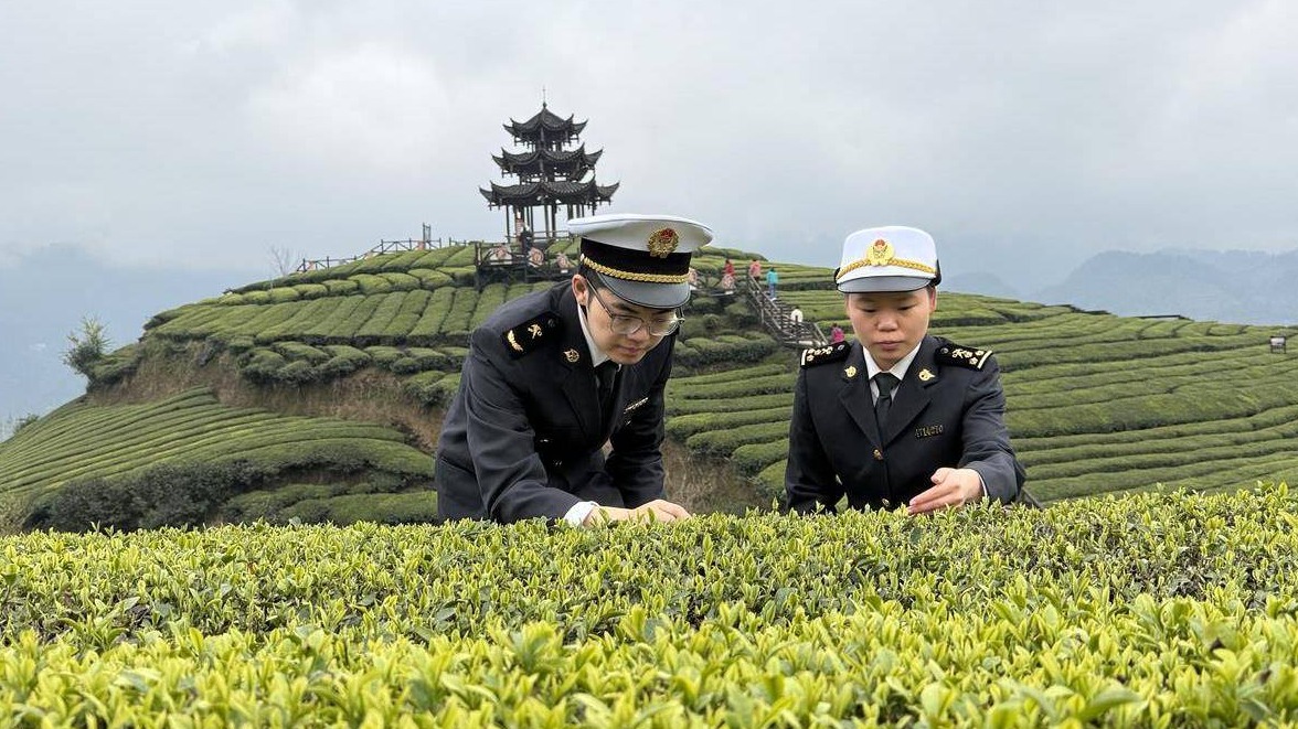 前两月恩施州出口茶叶2202吨