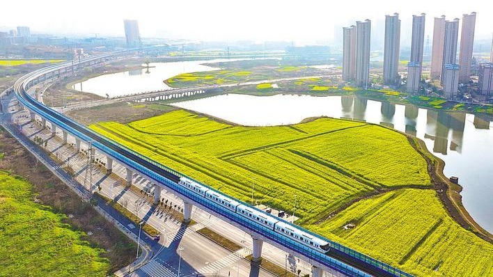 武汉地铁16号线驶入春日画卷