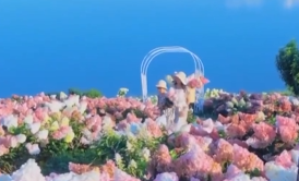 妈妈带抽动症儿子拥抱100多片花海