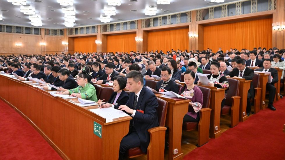 十四届全国人大四次会议举行第二次全体会议