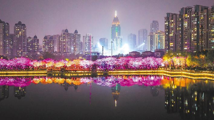 武汉夜樱 越夜越美