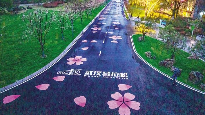 樱花赛道美不胜收