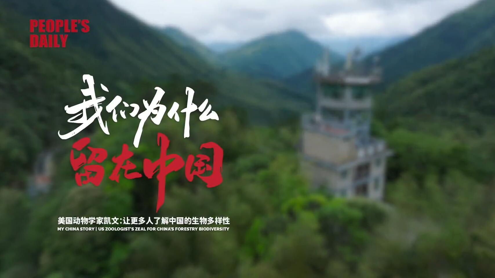 我们为什么留在中国