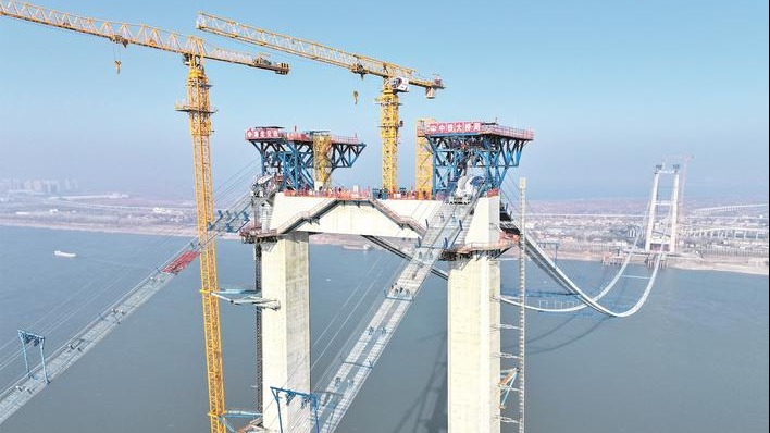 鹭鸟伴桥飞,江豚桥下游——一座长江大桥的生态保护细节